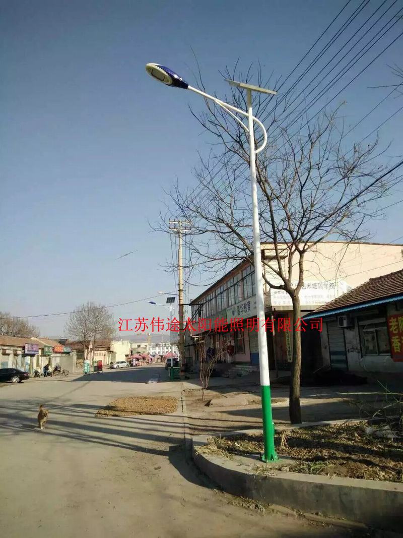 山东章丘路灯工程案例