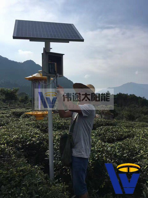 太阳能杀虫灯