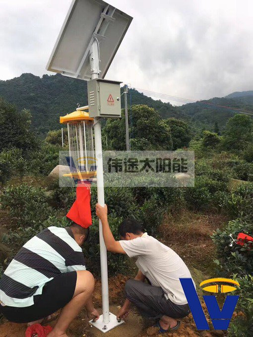 太阳能杀虫灯