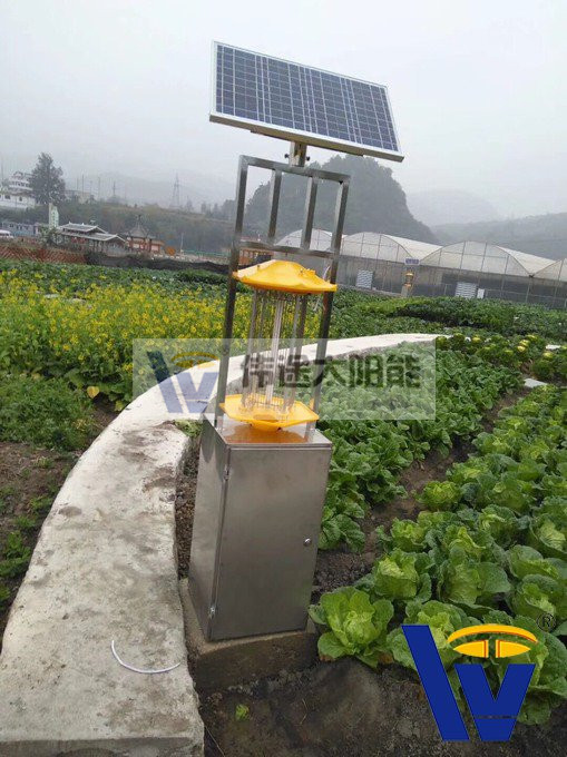 太阳能杀虫灯